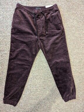 American Eagle Outfitters Jogger Pants Med Purple Corduroy Next Level Flex